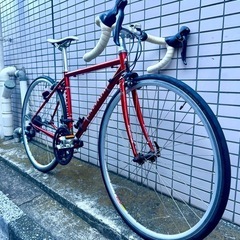  RALEIGH【ラレー】 2020 CARLTON-A RED 450サイズ　クロモリ　の画像