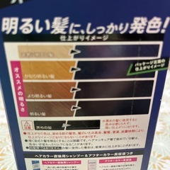 ヘアカラー　ネイビーブルーの画像