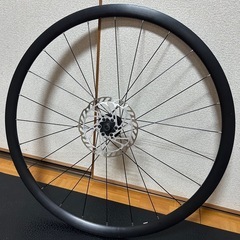 Giant ディスクホイール　前後セットの画像