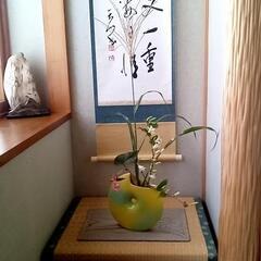 裏千家茶道教室　我遊庵の画像