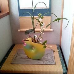 裏千家茶道教室　我遊庵の画像