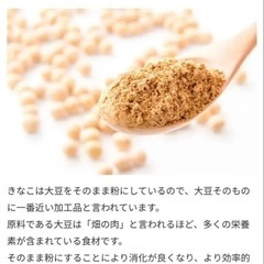 【100本】【駄菓子の定番・きなこ棒】やわら食感と優し甘さが愛さ続ける♪1箱20本入り・5箱・100本・25年11月の画像