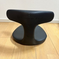 【使用２年/正規品】ayur-chair骨盤サポート 腰痛クッション アーユルチェアー メディカルシート の画像