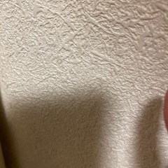 壁紙の画像