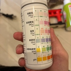 水質テスト　バクテリア等の画像