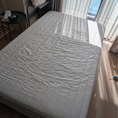 セミダブルベットの画像