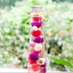 千日紅　ドライフラワーの画像