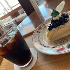 🌿カフェ好きな方、ゆる〜くお話ししませんか？☕🌿