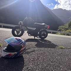  2スト！ランディ50の画像