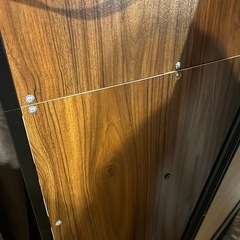 幅118-190cm 伸縮ハンガーラック ハイタイプ サイド棚 フック 上棚 カーテン付 〔50600010〕の画像