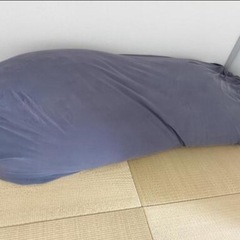 YOGIBO マックス+三角形セットの画像