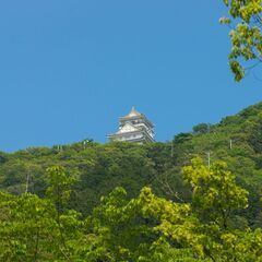 🌿楽しい 金華山ハイキング 自然の中での婚活・恋活・友達作…
