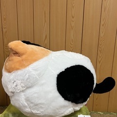 ぬいぐるみ　ネコ（大きい）の画像