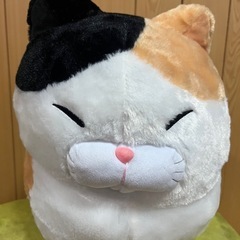 ぬいぐるみ　ネコ（大きい）の画像