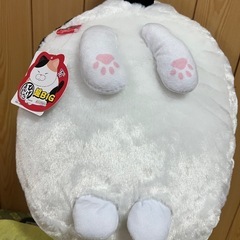 ぬいぐるみ　ネコ（大きい）の画像