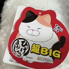 ぬいぐるみ　ネコ（大きい）の画像
