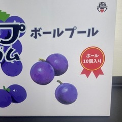 ボールプール！グレープの画像