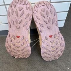 SALOMON トレラン シューズの画像