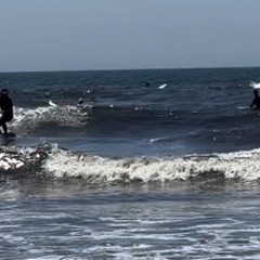 火曜日一緒にサーフィン募集(男女問わず)