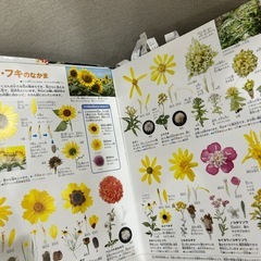 小学館の図鑑neoなどの画像