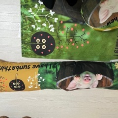 豚　クッション　抱き枕　ラグマットの画像