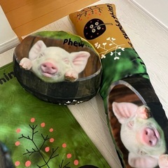 豚　クッション　抱き枕　ラグマットの画像