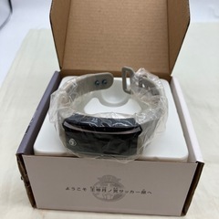 王帝月ノ宮モデル　イレブンバンド　の画像