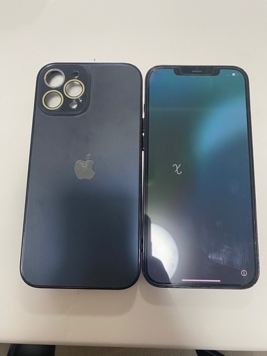 iPhone12 Pro Max 256GB