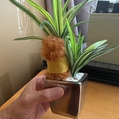 【受け渡し決定】イミテーションの卓上植物の画像