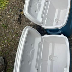 イグルー　クーラーボックス　62QT 58L IGLOO マックスコールドの画像