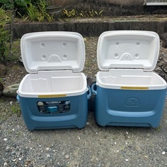 イグルー　クーラーボックス　62QT 58L IGLOO マックスコールドの画像