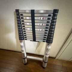 伸縮ハシゴの画像