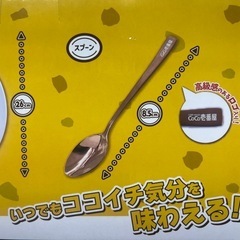 CoCo壱　カレー皿&スプーンセット！の画像