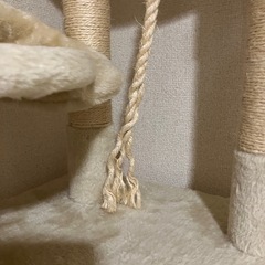 キャットタワーの画像