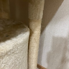 キャットタワーの画像