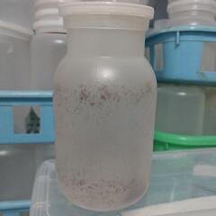 菌糸ビン(ボトル殻)の画像