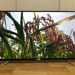【7月限定　3,500円引】50インチ テレビ　YouTube TCL 50P618の画像
