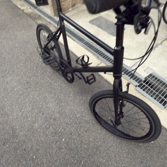 【ミニベロ】TERNの画像