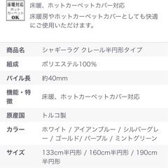 半円ラグ160cm ミントグリーンの画像