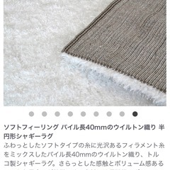 半円ラグ160cm ミントグリーンの画像