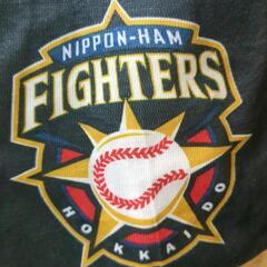 FIGHTERSファン必見 ユニフォームの画像