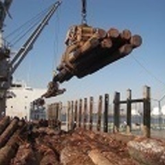 🚢港湾船内、沿岸作業員募集します✅の画像