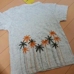 タグ付き【１１０】椰子の木柄Ｔシャツの画像