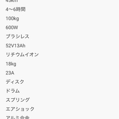 T9 Special (52V 600w) 取り外し可能サドル付き　その他オプション付きの画像