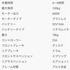 T9 Special (52V 600w) 取り外し可能サドル付き　その他オプション付きの画像