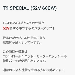 T9 Special (52V 600w) 取り外し可能サドル付き　その他オプション付きの画像