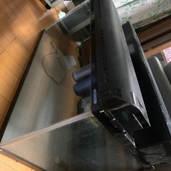 ガラス水槽90センチの画像