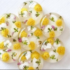 ミモザ　花部分　ドライフラワーの画像