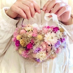 ヘリクリサム　ドライフラワーの画像