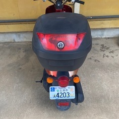 50cc TODAY 🛵1090km🐝の画像